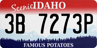 ID license plate 3B7273P