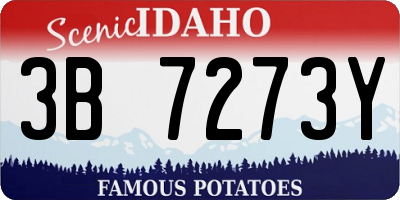 ID license plate 3B7273Y