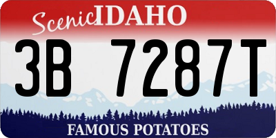 ID license plate 3B7287T