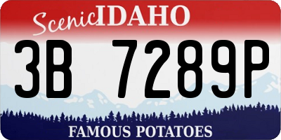 ID license plate 3B7289P