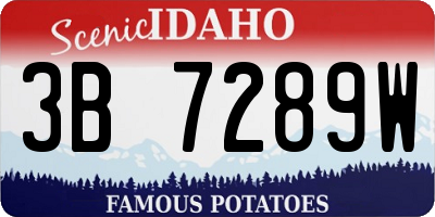 ID license plate 3B7289W