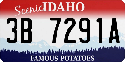 ID license plate 3B7291A