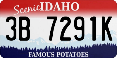 ID license plate 3B7291K