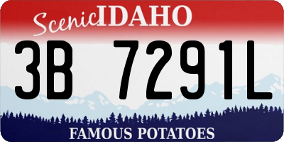 ID license plate 3B7291L