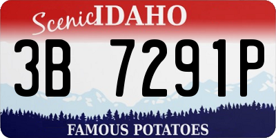 ID license plate 3B7291P