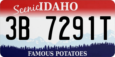 ID license plate 3B7291T