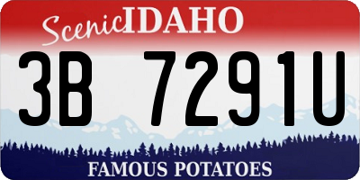 ID license plate 3B7291U