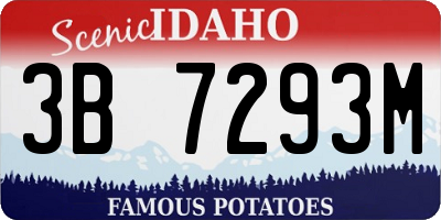 ID license plate 3B7293M