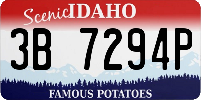 ID license plate 3B7294P