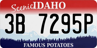 ID license plate 3B7295P
