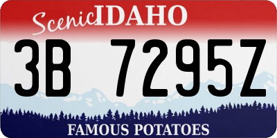 ID license plate 3B7295Z