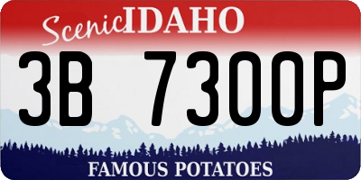 ID license plate 3B7300P
