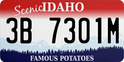 ID license plate 3B7301M