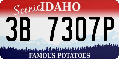 ID license plate 3B7307P