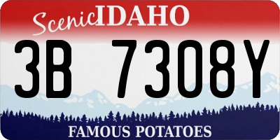 ID license plate 3B7308Y