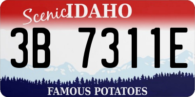 ID license plate 3B7311E