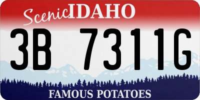 ID license plate 3B7311G