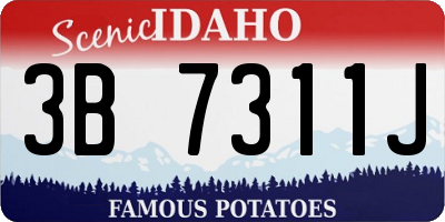 ID license plate 3B7311J