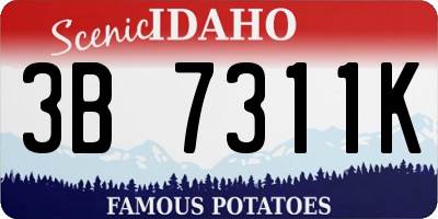 ID license plate 3B7311K