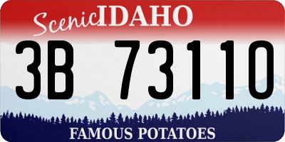 ID license plate 3B7311O