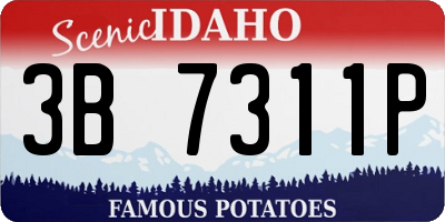 ID license plate 3B7311P