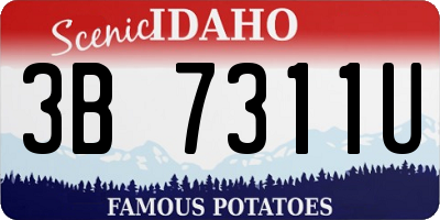 ID license plate 3B7311U
