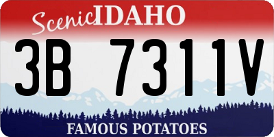 ID license plate 3B7311V
