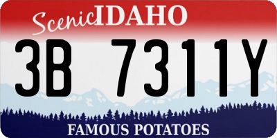 ID license plate 3B7311Y
