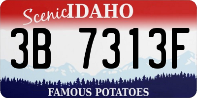 ID license plate 3B7313F