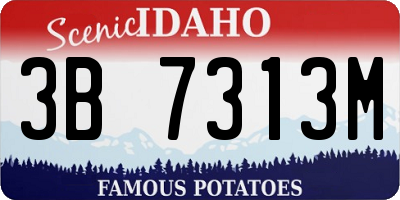 ID license plate 3B7313M