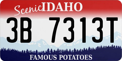 ID license plate 3B7313T