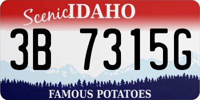 ID license plate 3B7315G