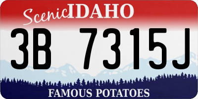 ID license plate 3B7315J