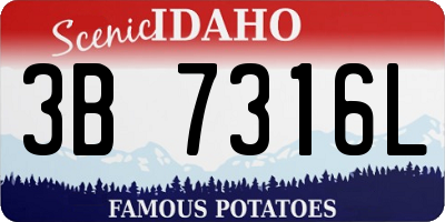 ID license plate 3B7316L