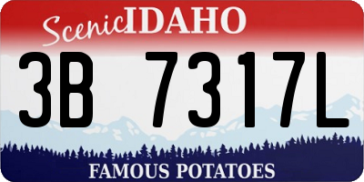ID license plate 3B7317L