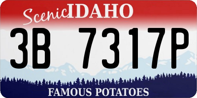 ID license plate 3B7317P