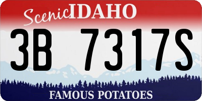 ID license plate 3B7317S