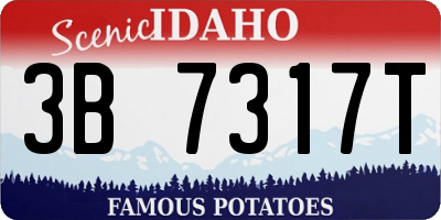 ID license plate 3B7317T
