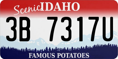 ID license plate 3B7317U