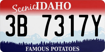 ID license plate 3B7317Y