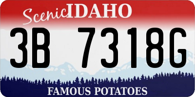 ID license plate 3B7318G