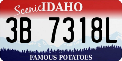 ID license plate 3B7318L