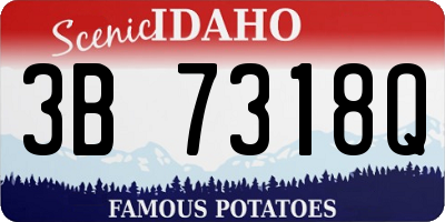 ID license plate 3B7318Q