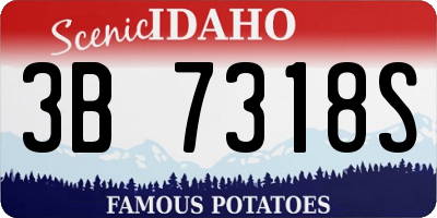 ID license plate 3B7318S