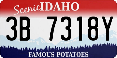 ID license plate 3B7318Y