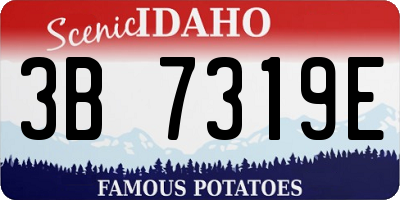 ID license plate 3B7319E