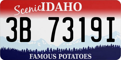 ID license plate 3B7319I