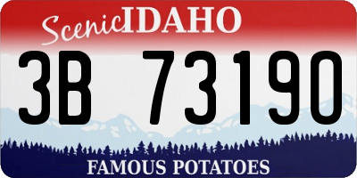 ID license plate 3B7319O