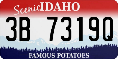 ID license plate 3B7319Q