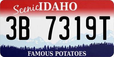 ID license plate 3B7319T